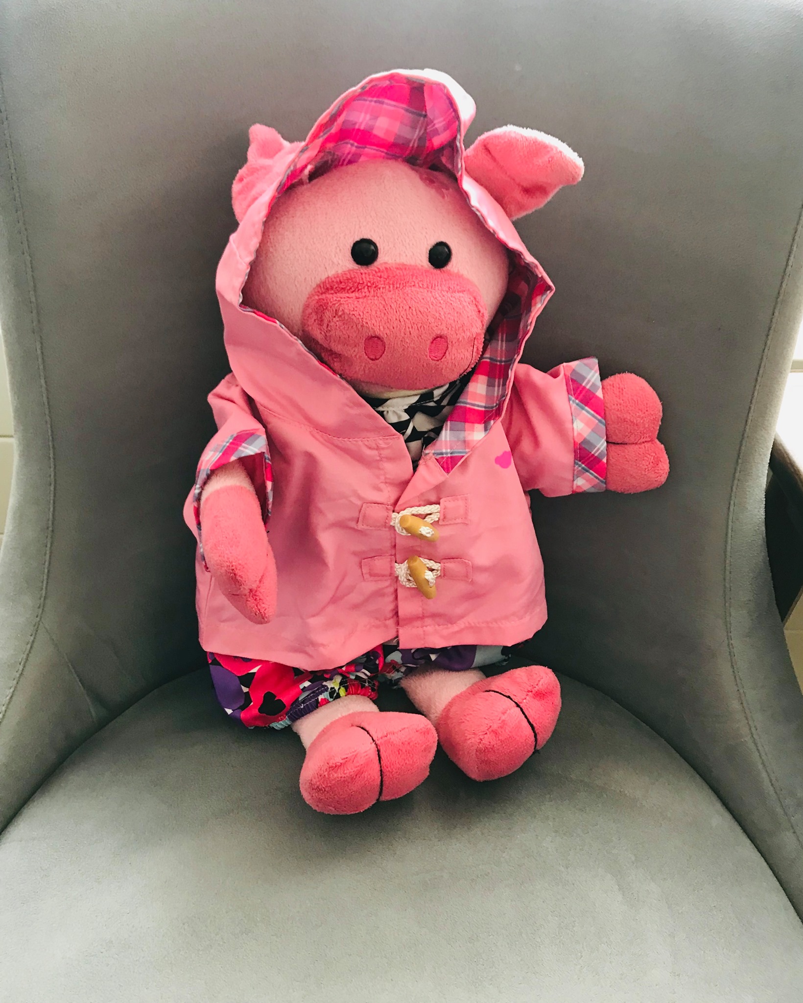 Chanchita˙s pink raincoat