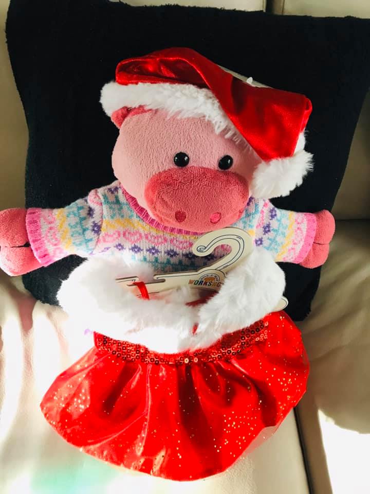 Chanchita˙s Santa outfit